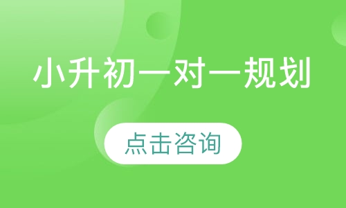 小升初一对一规划