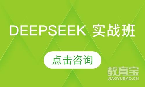 DeepSeek 实战班