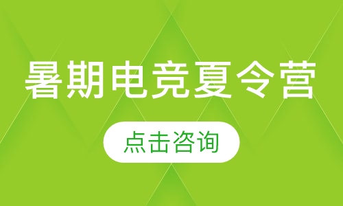 暑期电竞夏令营