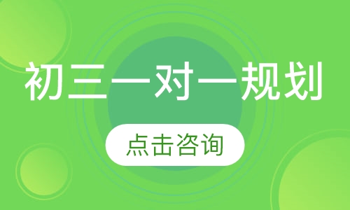 初三一对一规划