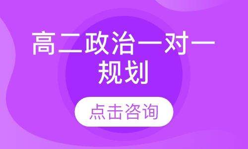 高二政治一对一规划