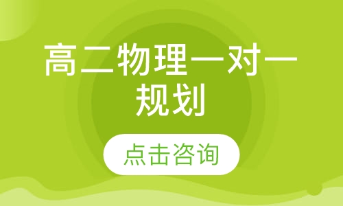 高二物理一对一规划