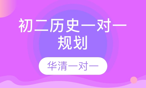 初二历史一对一规划