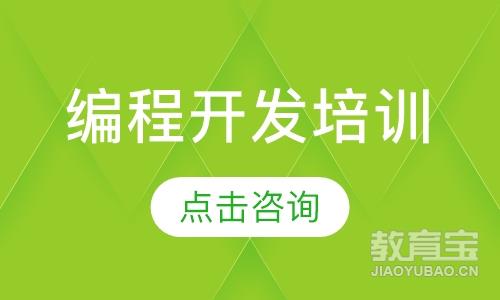 编程开发培训
