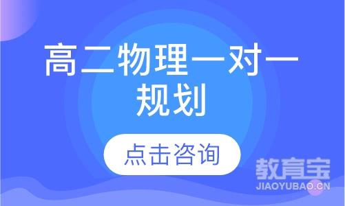 高二物理一对一规划