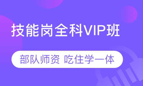 技能岗全科VIP班