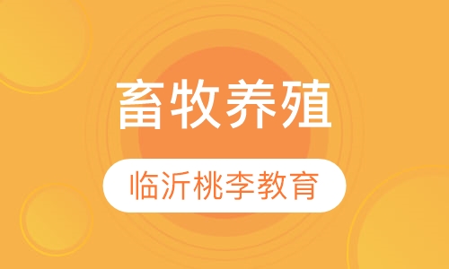 ������ֳ