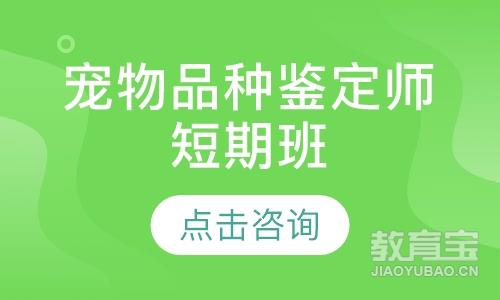 ����Ʒ�ּ���ʦ���ڰ�