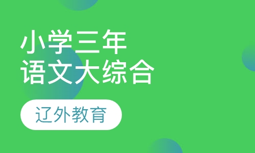 【沈阳小学语文三年语文大综合】沈阳小学辅导