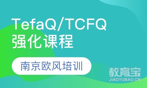 TefaQ/TCFQ强化课程（1V1）