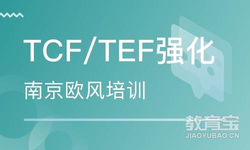 TCF/TEF强化
