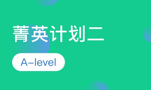 a-levelγ