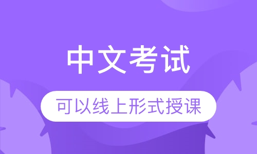 中文考试一对一辅导课程