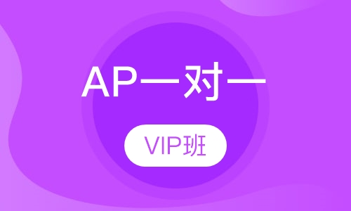 AP一对一VIP