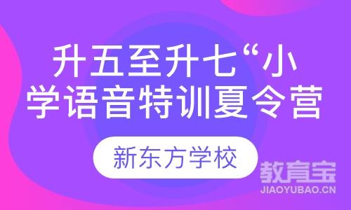 厦门英语夏令营课程排名 厦门英语夏令营课程怎么选