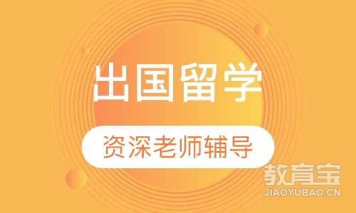 杭州爱尔兰留学课程排名 杭州爱尔兰留学课程怎么选