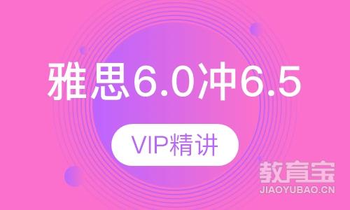 环雅剑盟雅思6.0冲6.5 VIP精讲