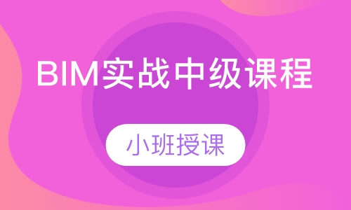 BIM实战中级课程