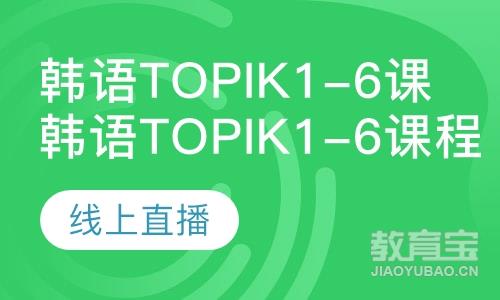 韩语Topik1-6课程线上直播