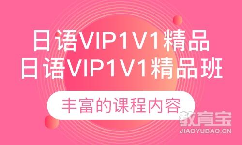 日语VIP1v1精品班