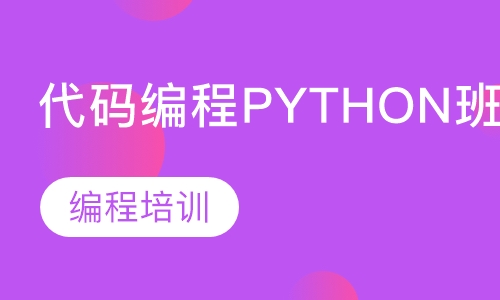 代码编程PYTHON班