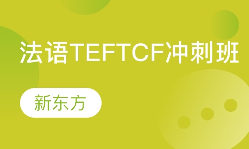 法语TEFTCF冲刺班