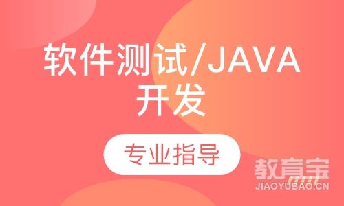 软件测试/Java开发/编程