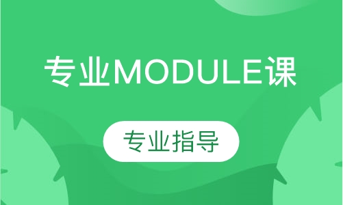 专业MODULE课