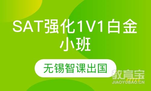 SAT强化1V1白金小班 （网课+面授）