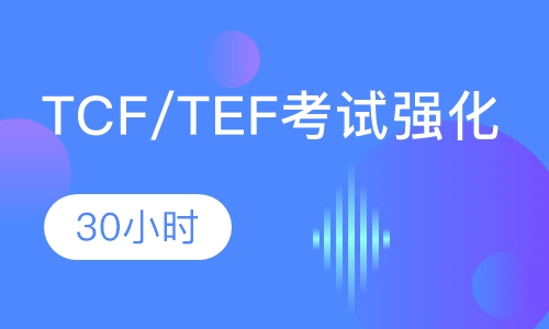 TCF/TEF考试强化课程（1V1）
