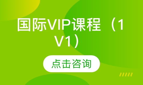国际VIP课程（1V1）