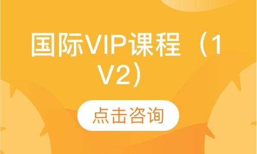 国际VIP课程（1V2）