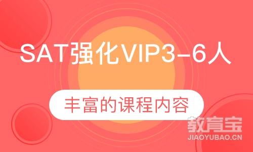 SAT强化VIP3-6人班