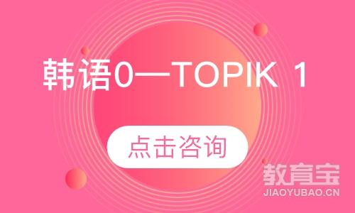 韩语0—TOPIK 1（1V1）