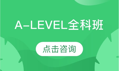 A-Level全科班（1V1）