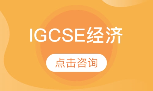 IGCSE经济（1V1）