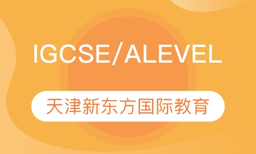 IGCSE/ALEVEL课程