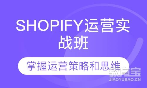 Shopify独立站运营实战班