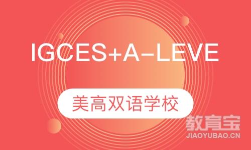 IGCES+A-Level课程