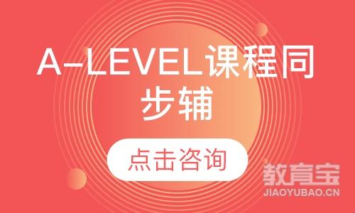 A-level课程同步辅导