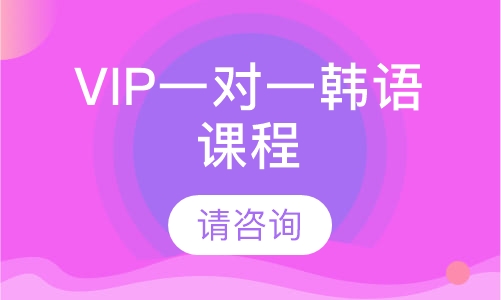 VIP一对一韩语课程