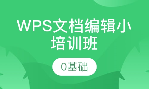 WPS文档编辑小培训班
