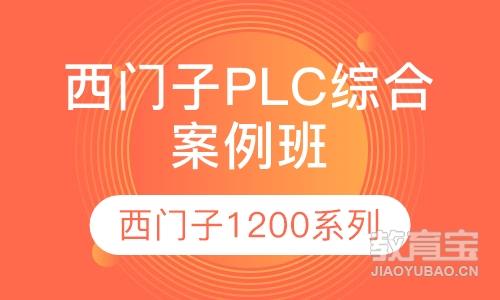西门子1200系列PLC编程综合案例班