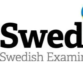 瑞典语是怎样的一种语言？