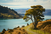 新西兰留学有哪些优势？