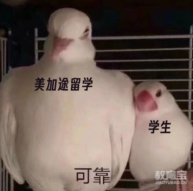 微信图片_20250524174152.png