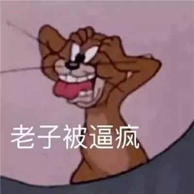 409e0e3d20478a67aadc98c45a2f90a5.jpg