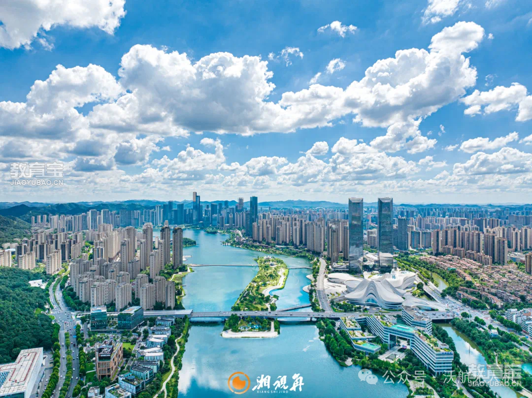 图片3.png (10).png