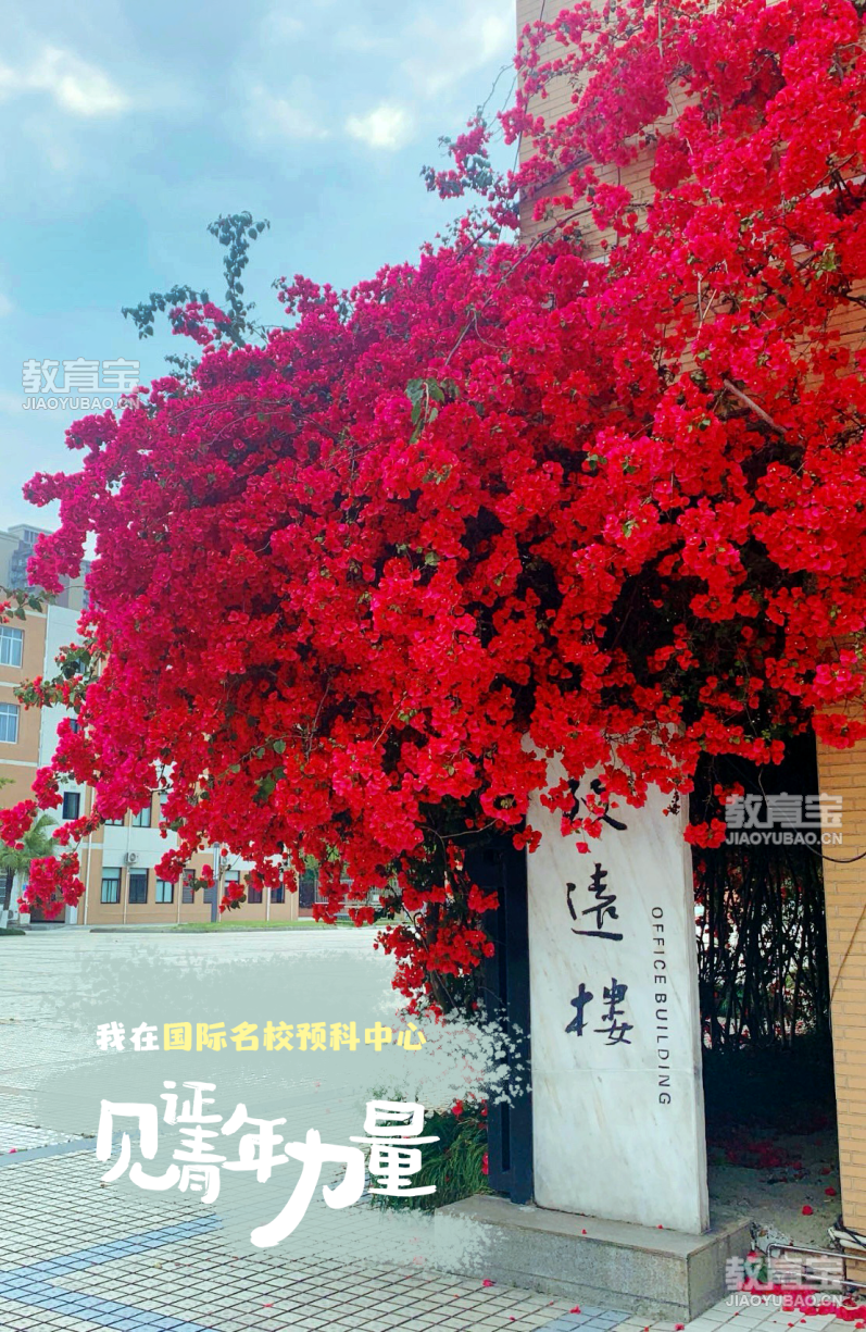 我在国际学校预科中心3(2).png