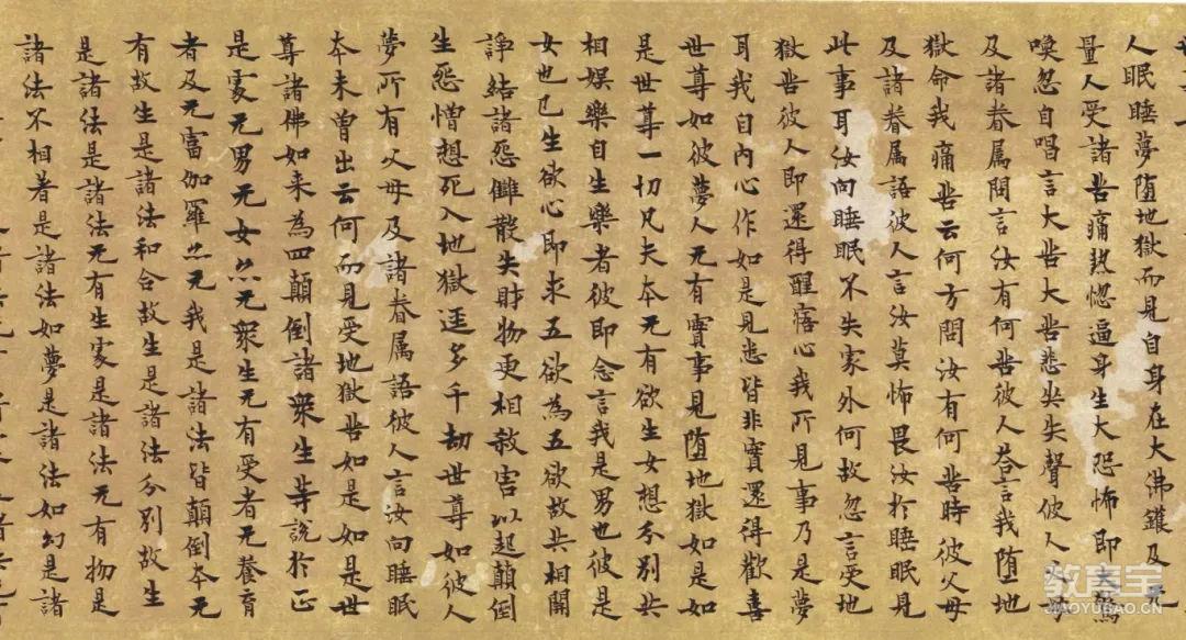 微信图片_2025-05-27_202347_987.jpg